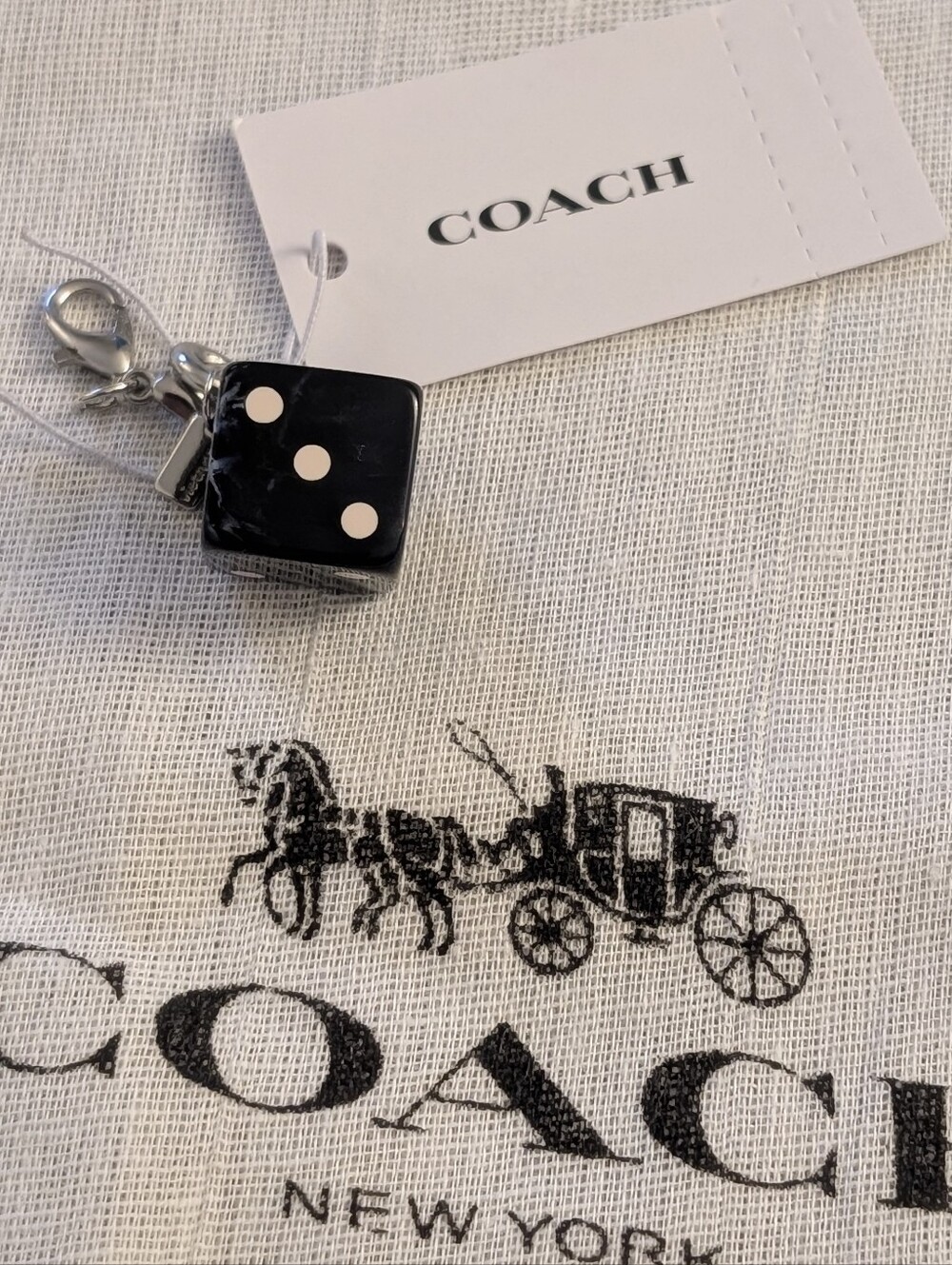 Coach DIY Dice Black Sliver Charm
